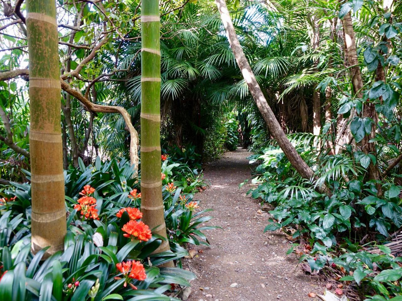 Wharepuke Subtropical Accommodation Kerikeri Ngoại thất bức ảnh